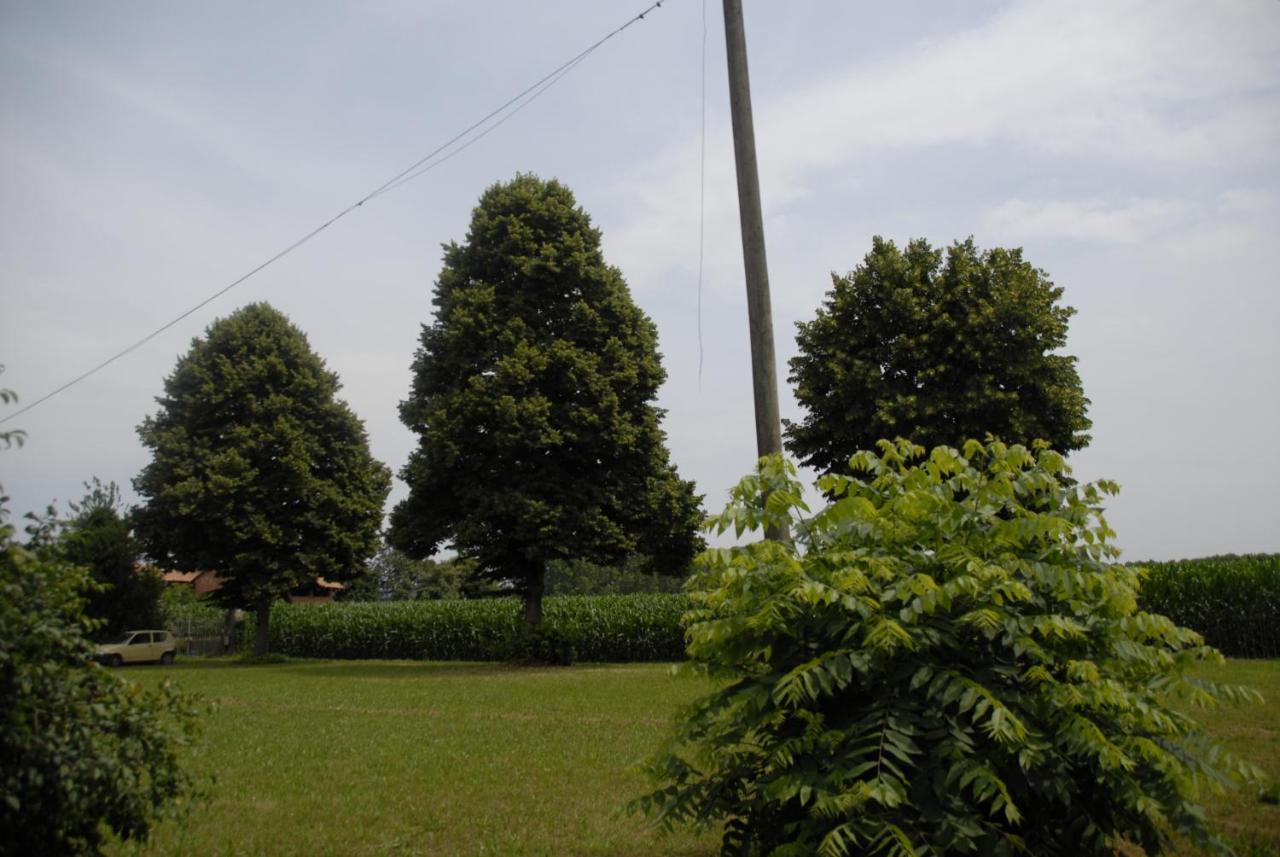 Spighe Paglia E Girasole Bed & Breakfast Candia Canavese Exterior photo