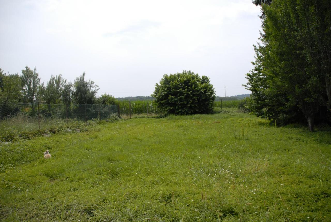 Spighe Paglia E Girasole Bed & Breakfast Candia Canavese Exterior photo